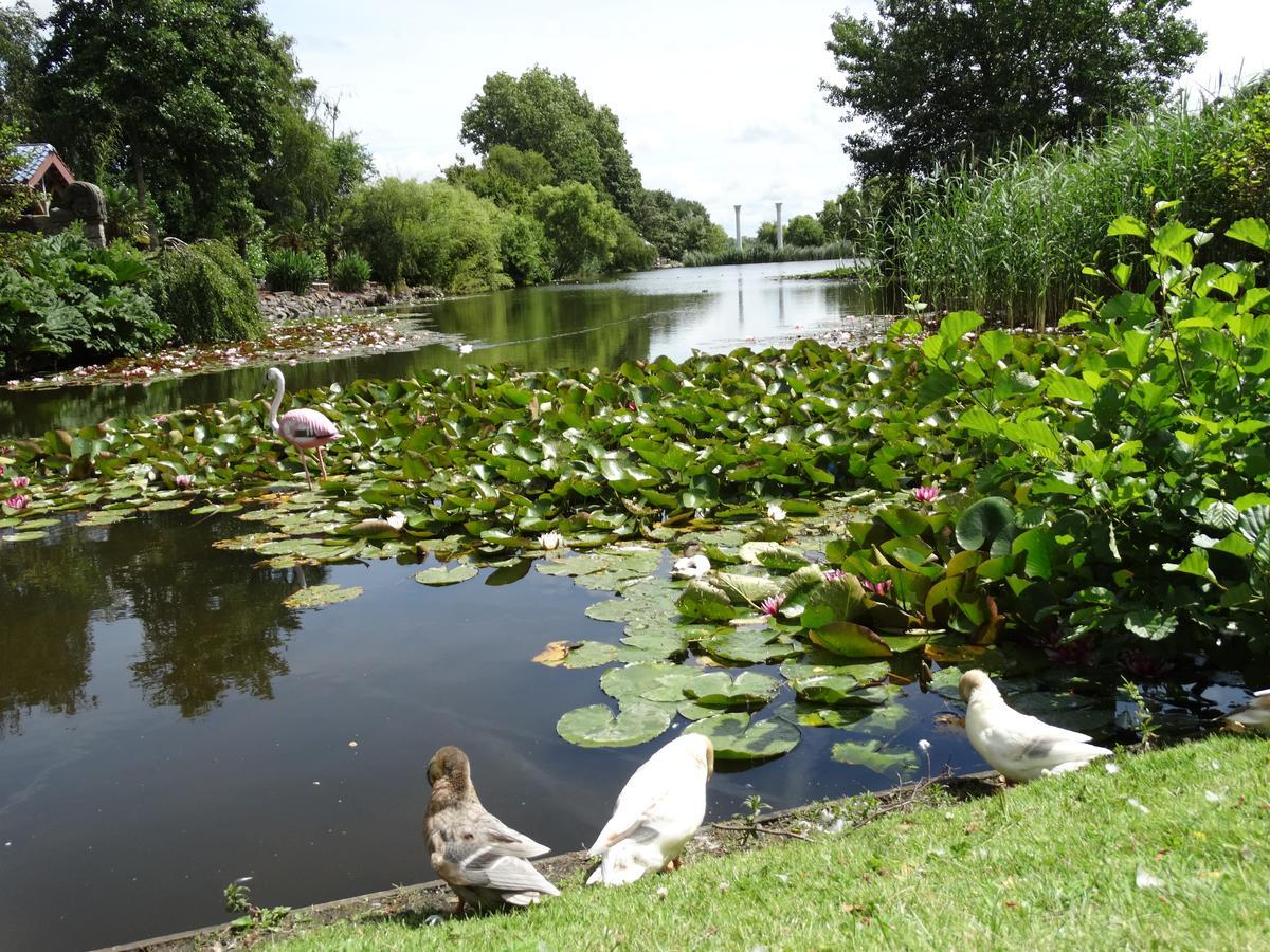 Paradijs Eiland Hillegom Ngoại thất bức ảnh